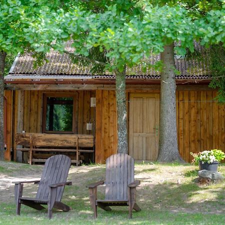Holiday House With Sauna Cesis Bagian luar foto
