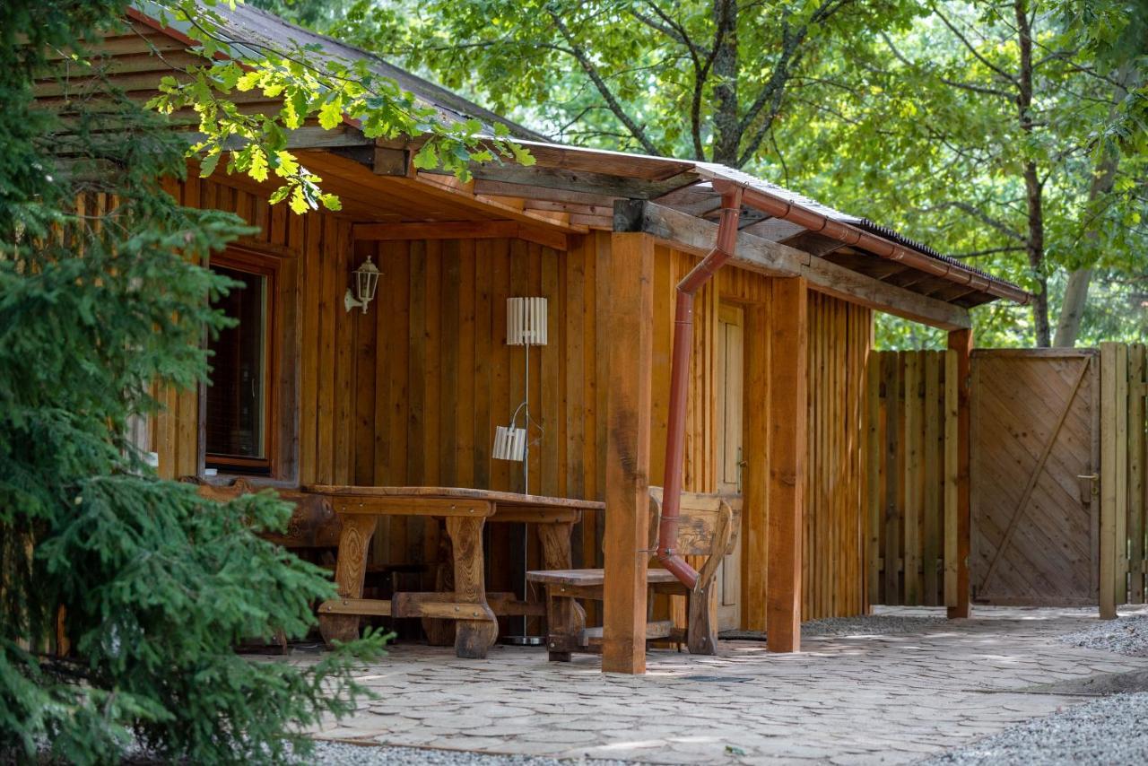 Holiday House With Sauna Cesis Bagian luar foto